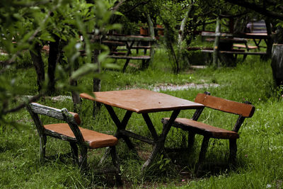 Empty bench in park