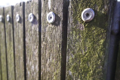 Close-up of wooden door