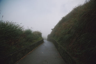 Narrow footpath amidst plants against sky