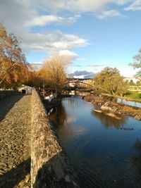 Reflection of trees in river