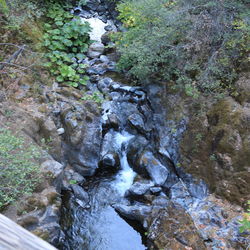 River flowing through rocks in forest