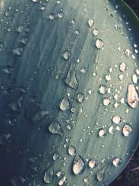 Full frame shot of raindrops on wood