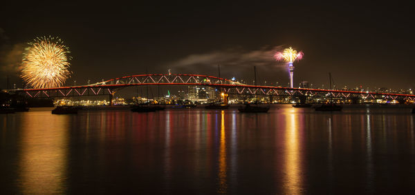 Firework display over river against sky at night