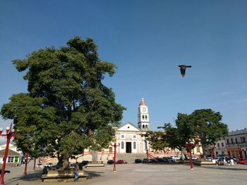 Church and trees against clear sky on sunny day