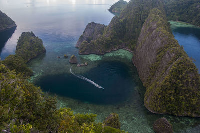 High angle view of turtle on rock by sea