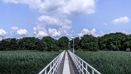 Scenic view of trees against sky