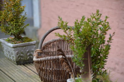 High angle view of wicket basket amidst potted plants on table against wall