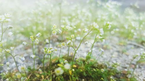 Beautiful glimpse into the natural world