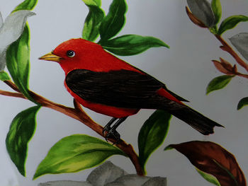 Close-up of a bird perching on plant