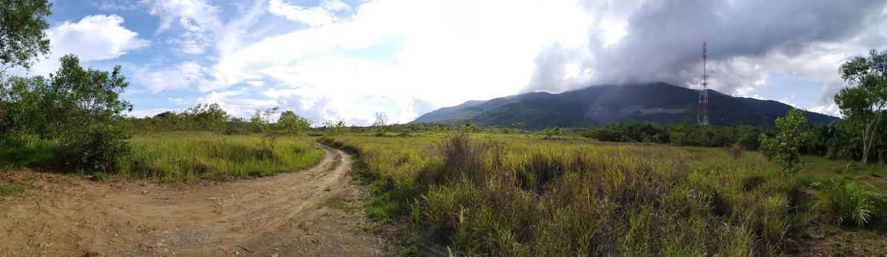 PANORAMIC SHOT OF ROAD AMIDST PLANTS ON LAND