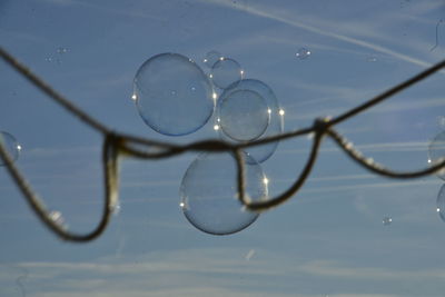 Close-up of bubbles in water