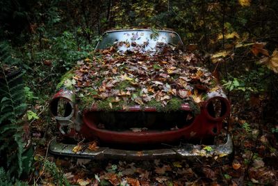 Abandoned car on field