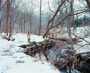 Bare trees on snow covered landscape