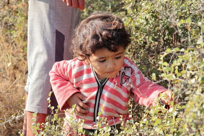 A beautiful child of small indian origin breaking jujube fruit in the forest with bushes, india