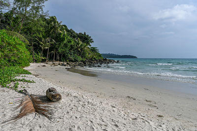 Scenic view of beach against sky