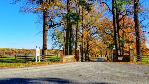 Road amidst trees against sky during autumn