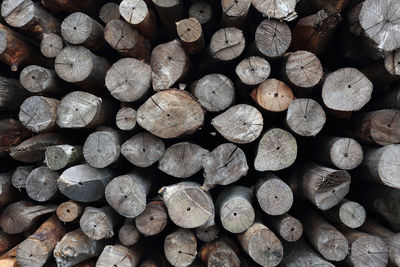 Full frame shot of logs in forest