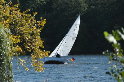 Sailboat on river against trees