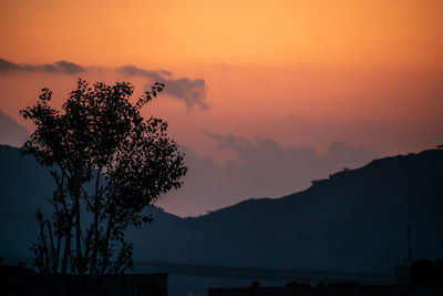 Silhouette tree against dramatic sky during sunset