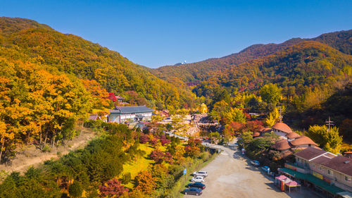 High angle view of trees on mountain during autumn