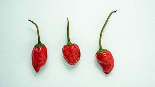 Close-up of red chili peppers against white background