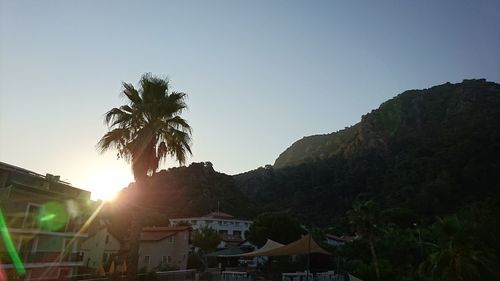 Houses and trees against clear sky during sunset