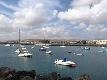 Sailboats moored in harbor