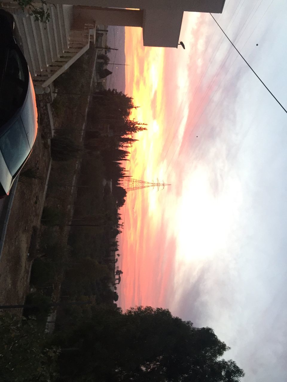 SCENIC VIEW OF TREES AGAINST SKY