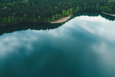 Reflection of trees in lake