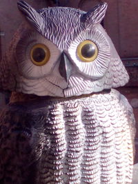 Close-up of owl