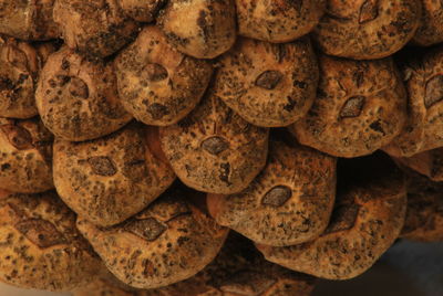 Full frame shot of a pine cone