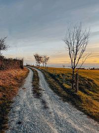 Road amidst bare trees on field against sky