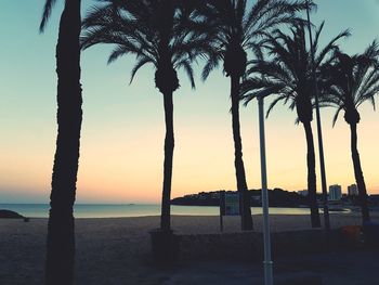 Silhouette palm trees on beach against sky during sunset