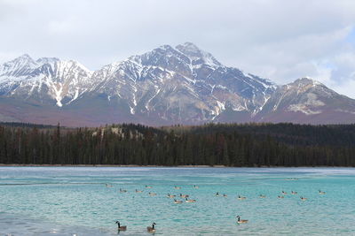 Scenic view of lake by snowcapped mountains against sky