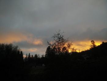 Silhouette trees against sky during sunset