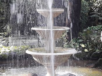 Water splashing in fountain against trees