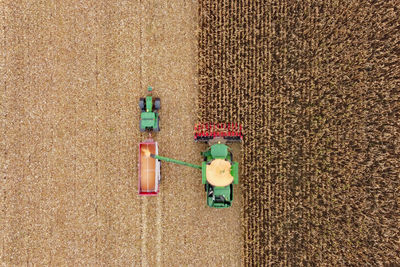 High angle view of stuffed toy on field