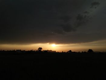 Silhouette trees on field against sky at sunset