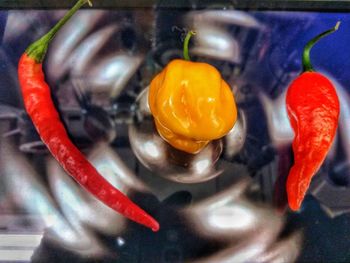 High angle view of multi colored bell peppers