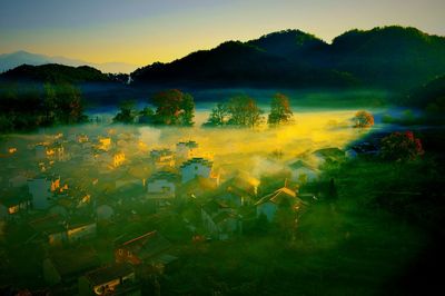 Scenic view of field against clear sky