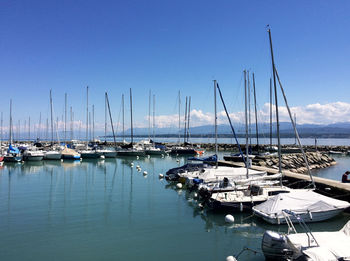 Boats moored at harbor