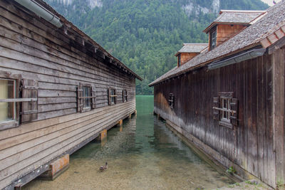 Panoramic view of buildings against trees