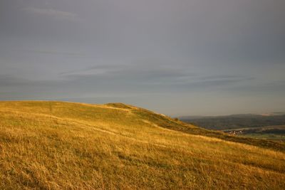 Scenic view of field against sky