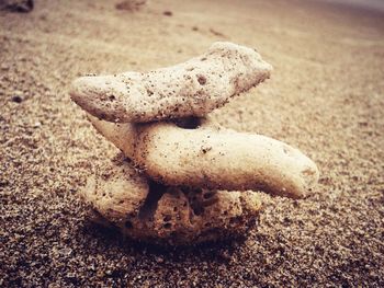 Close-up of rock on sand at beach