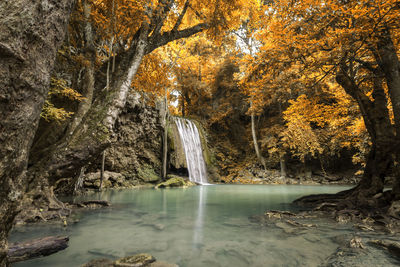 Scenic view of waterfall in forest during autumn