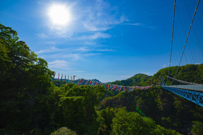 View of trees against sky