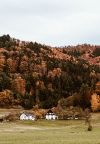 Scenic view of trees and houses against sky