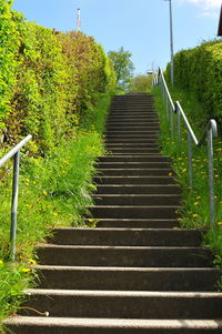 Low angle view of steps amidst trees against clear sky