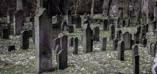 Tombstones in cemetery