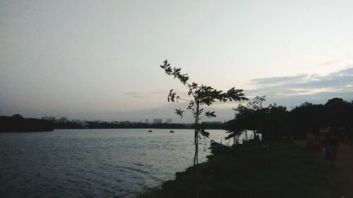 Silhouette trees by lake against sky during sunset